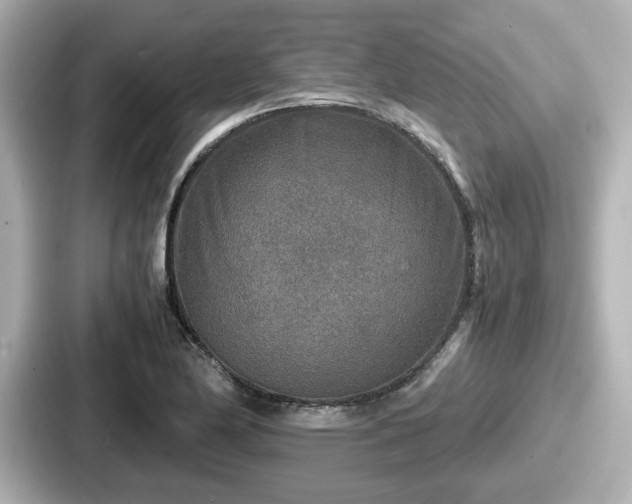 X0000087641174200705101041