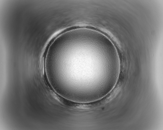 X0000087641175200705101041