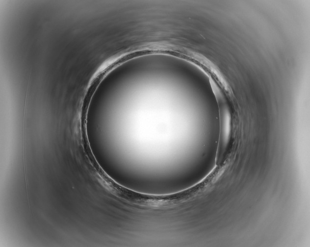 X0000087641176200705101041