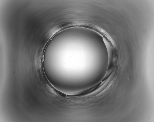 X0000087641177200705101041