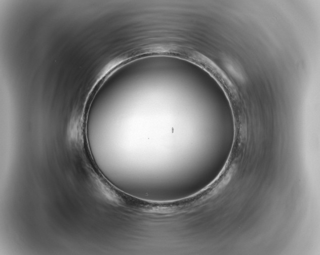 X0000087641178200705101041