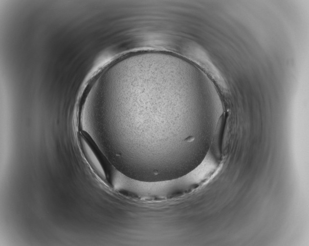 X0000087641180200705101041