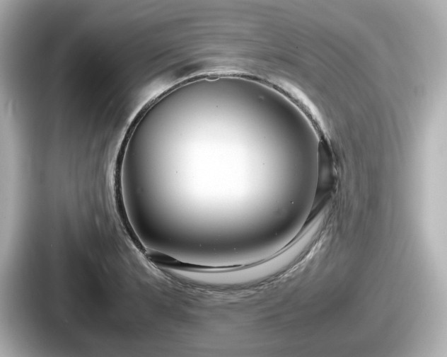 X0000087641181200705101041