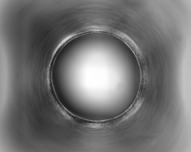 X0000087641182200705101041