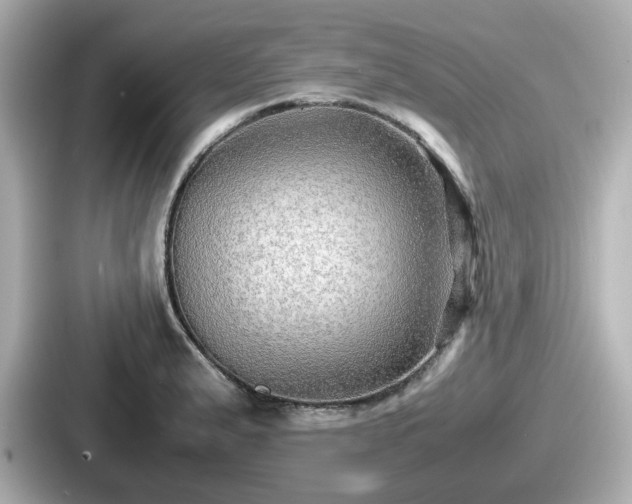 X0000087641183200705101041