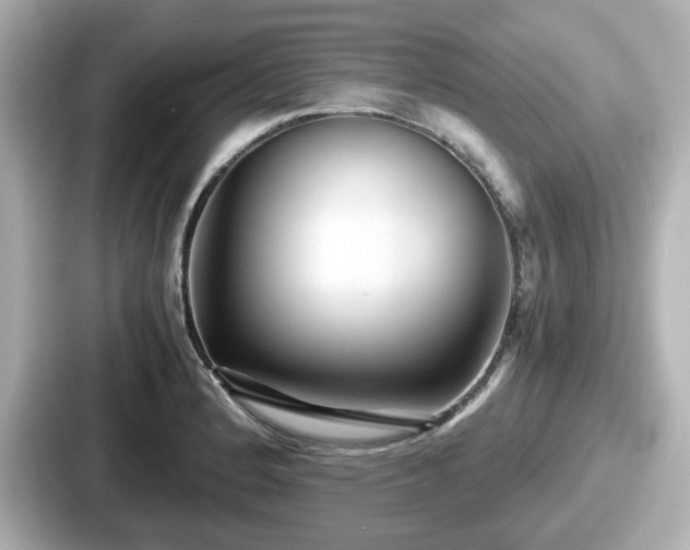 X0000087641184200705101041