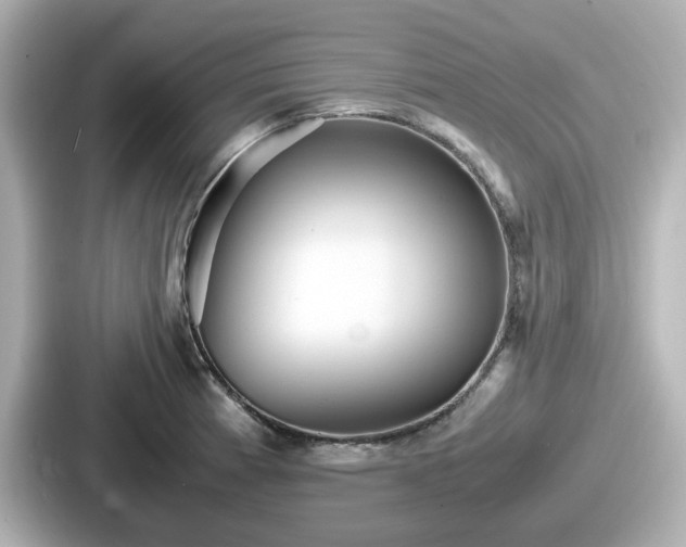 X0000087641185200705101041