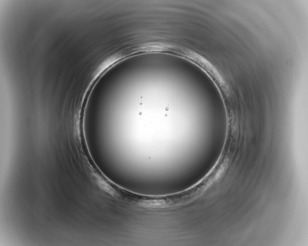 X0000087641186200705101041