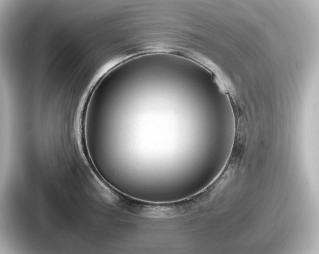 X0000087641187200705101041