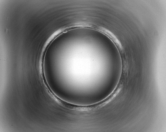 X0000087641188200705101041