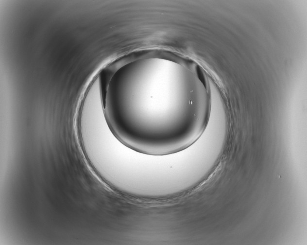 X0000087641189200705101041