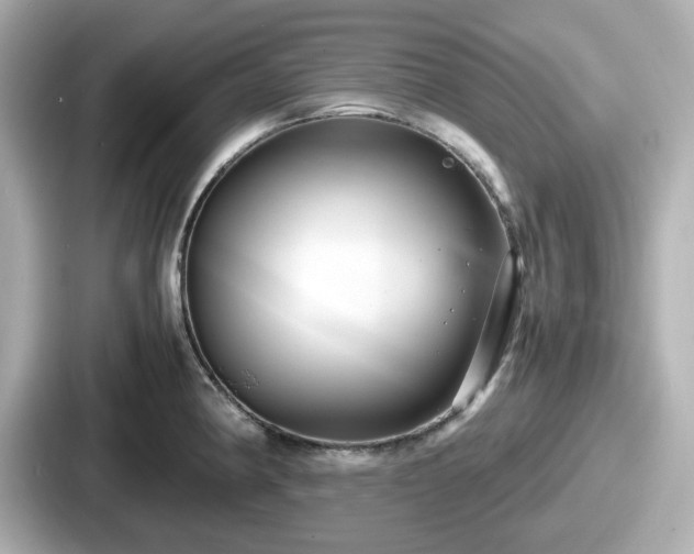 X0000087641190200705101041