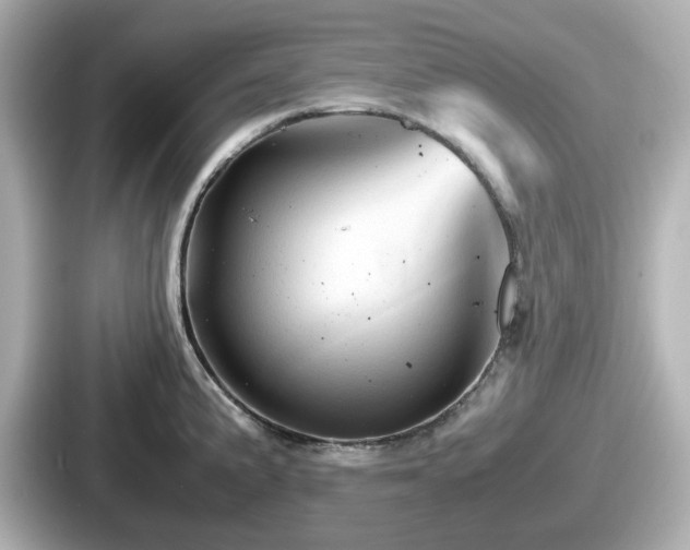 X0000087641191200705101041