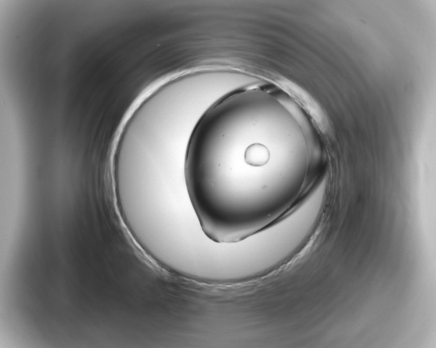 X0000087641192200705101041