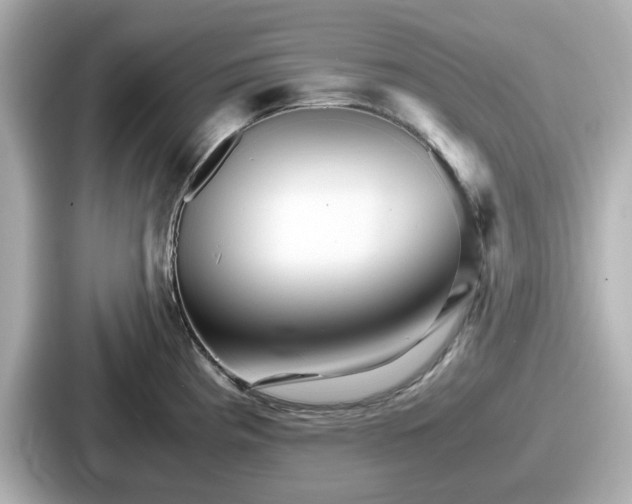 X0000087641193200705101041