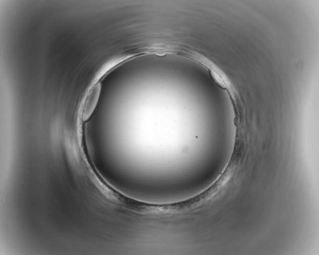 X0000087641195200705101041