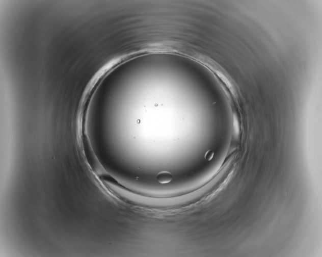 X0000087641196200705101041