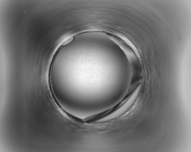 X0000087641197200705101041