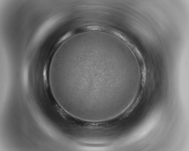 X0000087641198200705101041