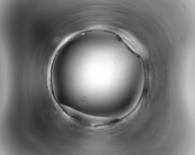 X0000087641199200705101041