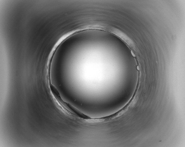 X0000087641200200705101041