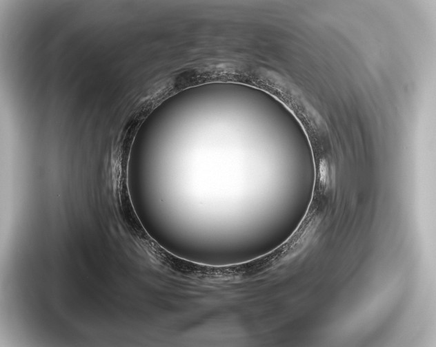 X0000087641203200705101041