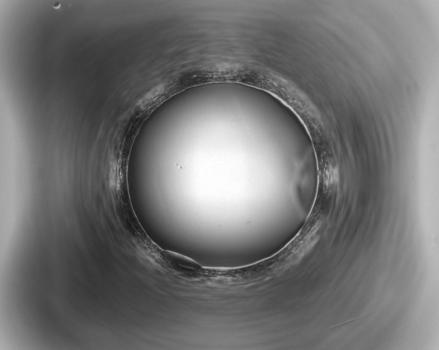 X0000087641204200705101041