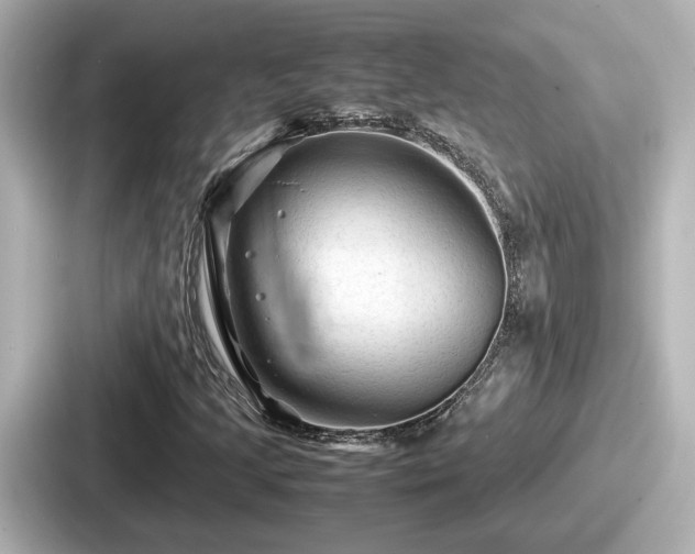 X0000087641205200705101041