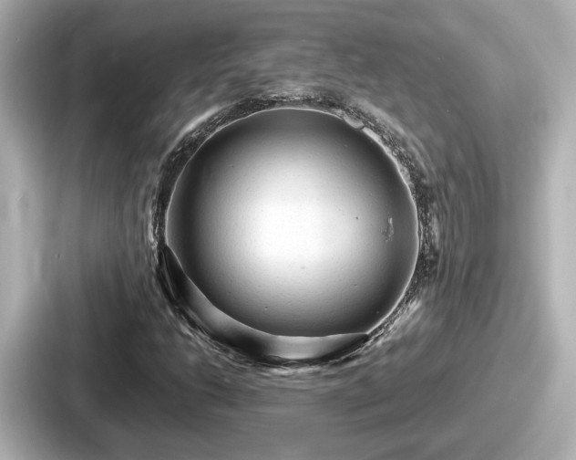 X0000087641206200705101041