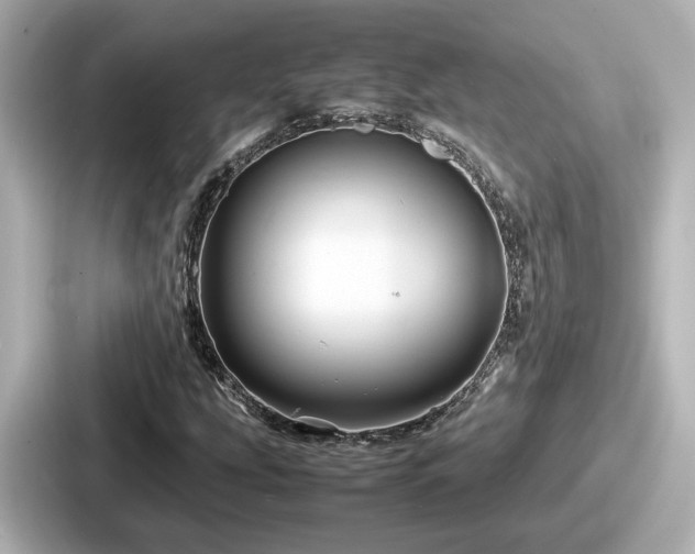 X0000087641207200705101041