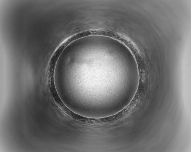 X0000087641208200705101041