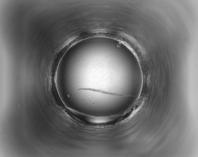 X0000087641209200705101041