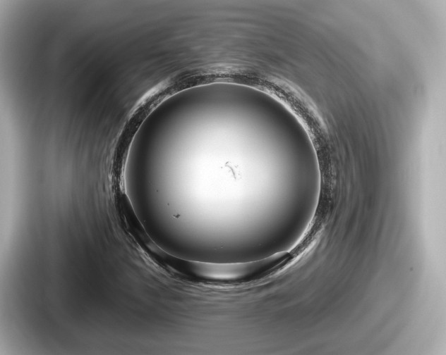 X0000087641210200705101041