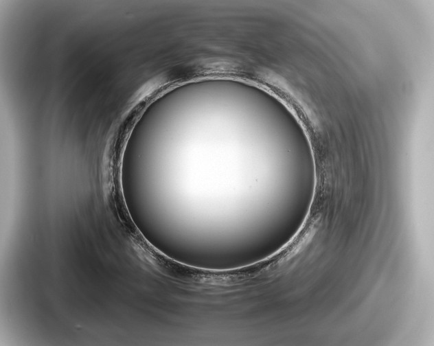 X0000087641211200705101041