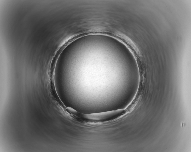 X0000087641212200705101041