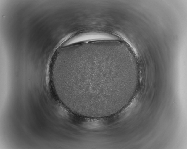 X0000087641213200705101041