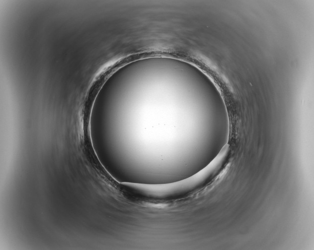 X0000087641214200705101041