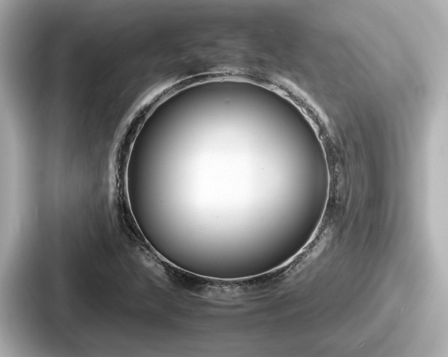 X0000087641215200705101041