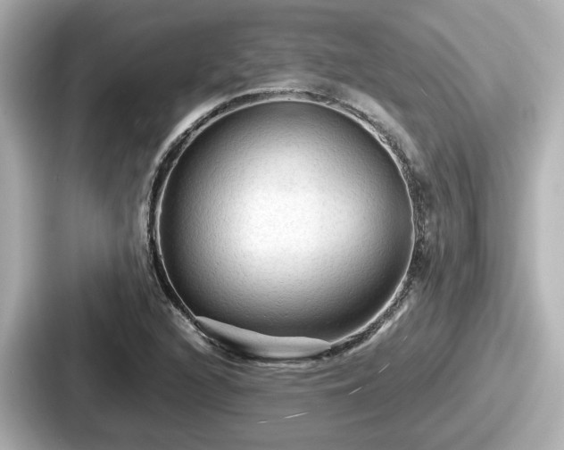 X0000087641216200705101041