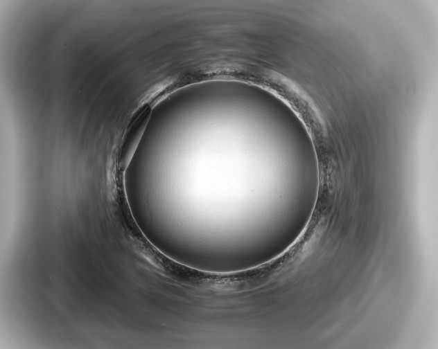 X0000087641217200705101041