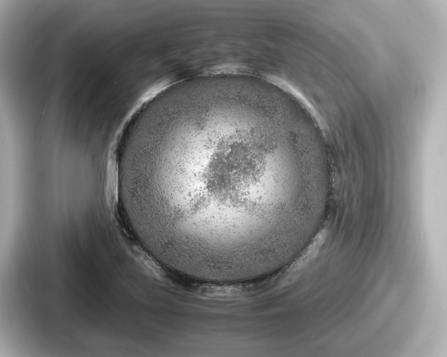 X0000087641219200705101041