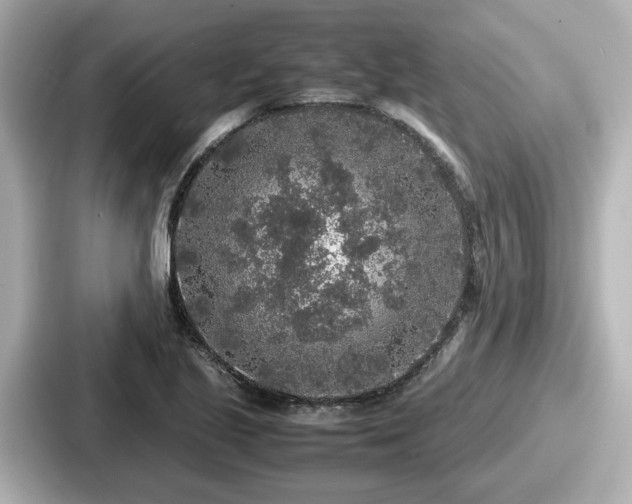 X0000087641221200705101041