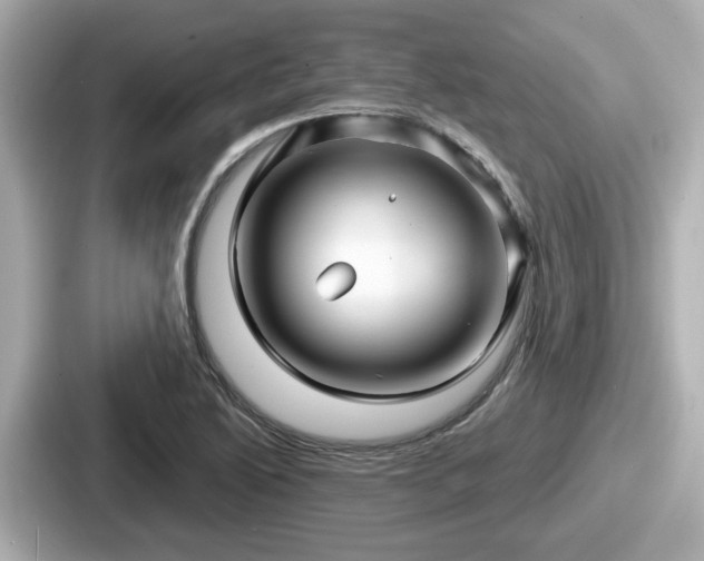 X0000087641222200705101041