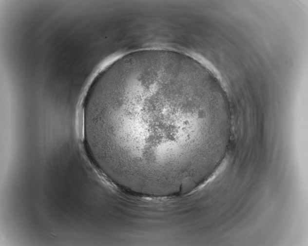 X0000087641223200705101041