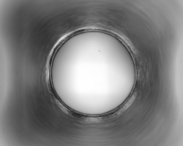 X0000087641224200705101041