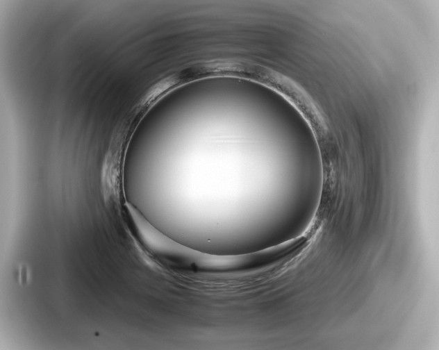 X0000087641225200705101041