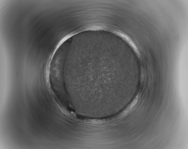 X0000087641226200705101041