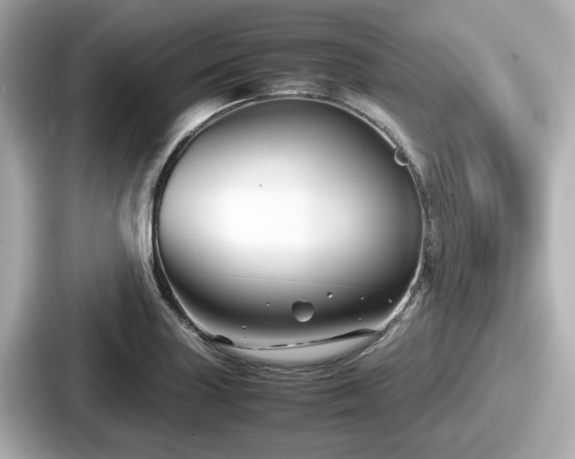 X0000087641227200705101041