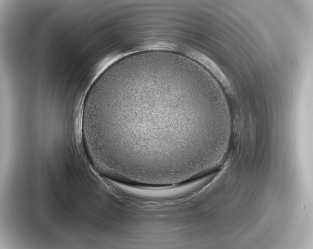 X0000087641228200705101041