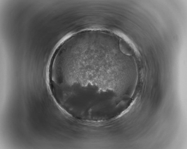 X0000087641229200705101041